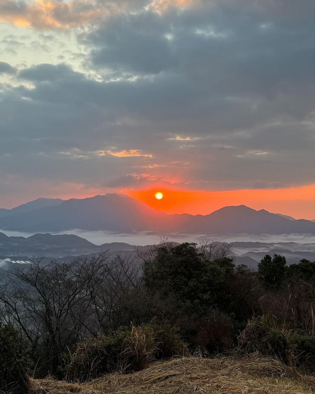 今日から仕事始めです。今年もコツコツと頑張ります！...